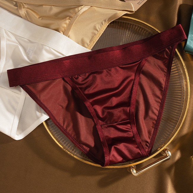6 Pack Lot Sexy Womens Satin Panties Bikinis Underwear Lingeries Brief Low Rise