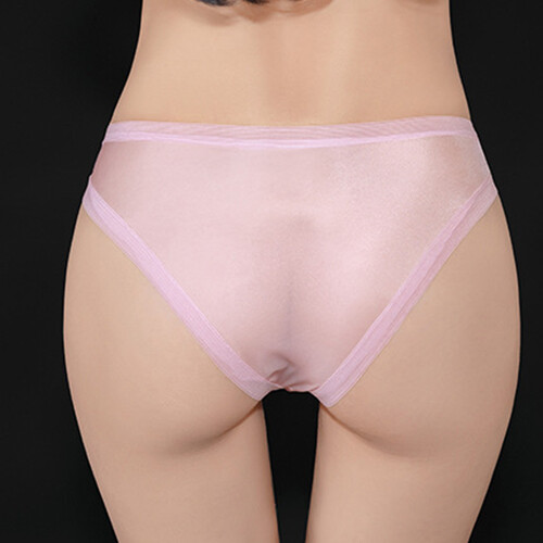 4 Pack Lot Women Sheer See-through Briefs Panties Underwear High Cut Lingeries
