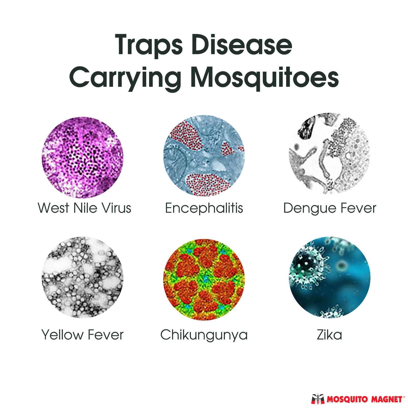 Mosquito Magnet Patriot Plus Outdoor Plastic Device Insect Trap|22396