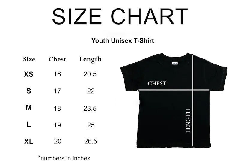 New!! Triumph Band Rock & Roll T-Shirt BOSTON Specific Limited June 4&6, Reprint