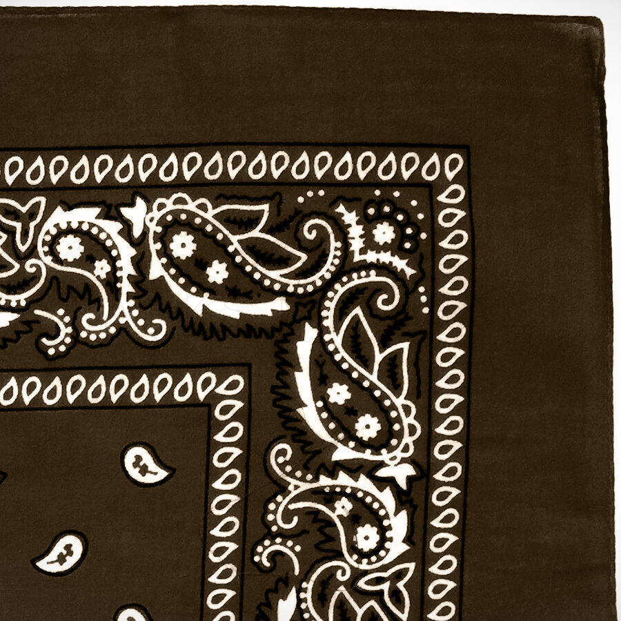 3-Pack Bandana 100% Cotton Paisley Print Double-Sided Scarf Head Neck Face Mask