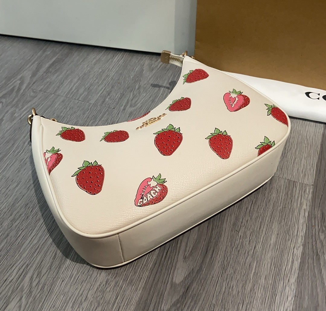 NEW COACH Teri Hobo Bag With Strawberry Print CAL67 outlet FREE SHIPPING