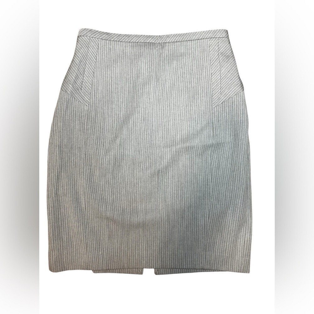 Express Studio Design Pin Striped Fully Lined Skirt Size 8