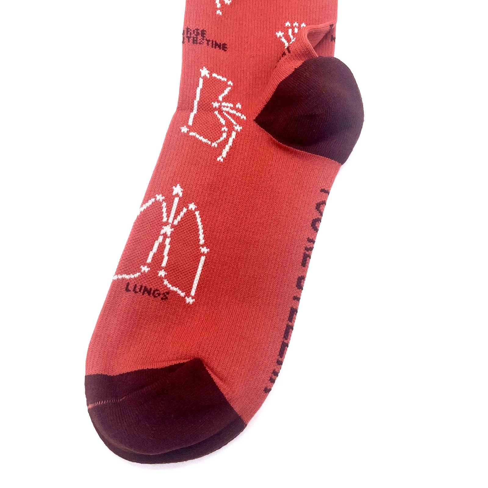 1 Pair FIGS Compression ‘Lungs’ Rust Socks Size L