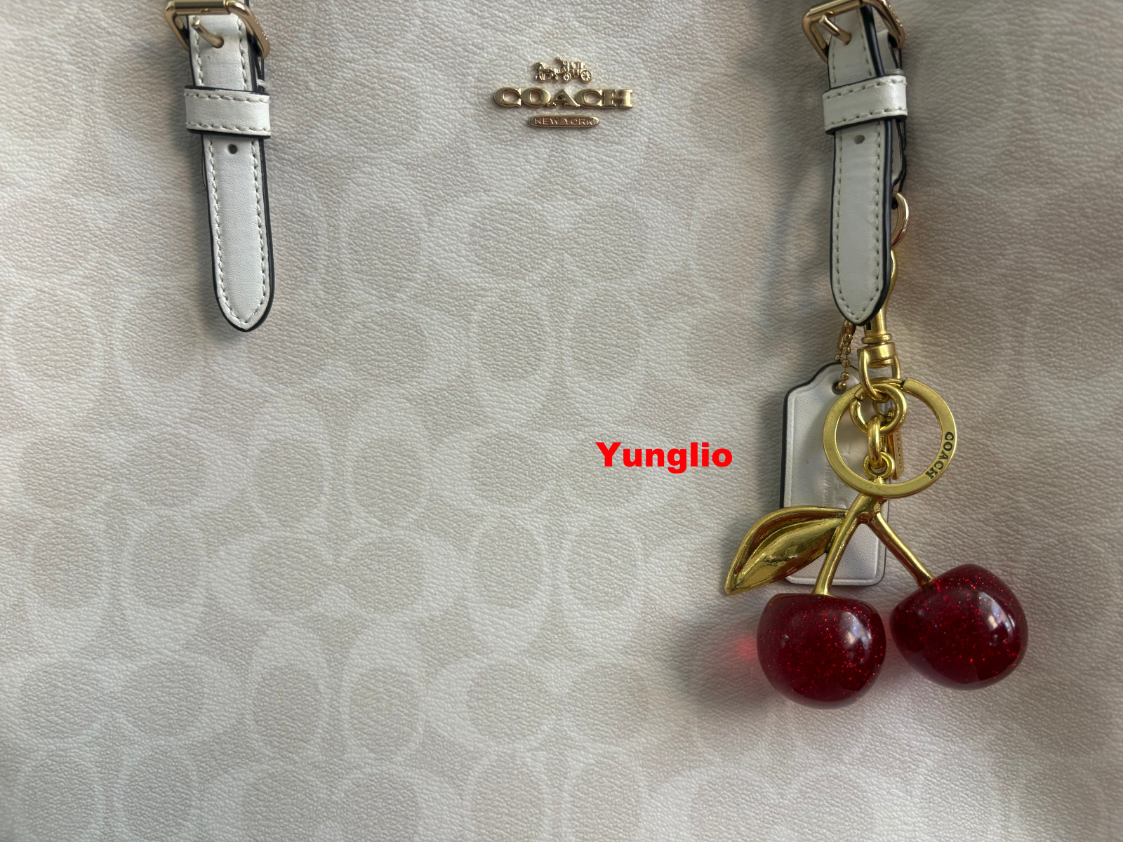 Coach Red Cherry Apple Bag Charm Keychain Resin Metal Brass Purse Decoration