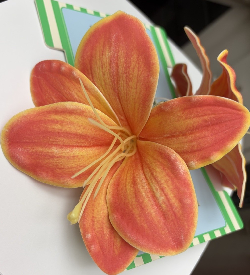 NWT ⚜️🧡⚜️ Piper K Orange Lilly Flowers Hair Claw Clip