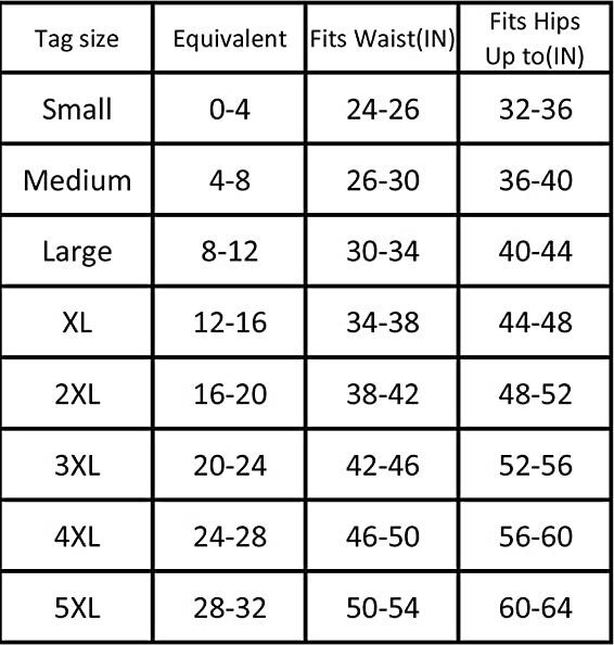 GIRDLES HIGH WAISTED BRIEFS 2-6 PANTIES TUMMY CONTROL UNDIES POCKET TRAVEL SAFE