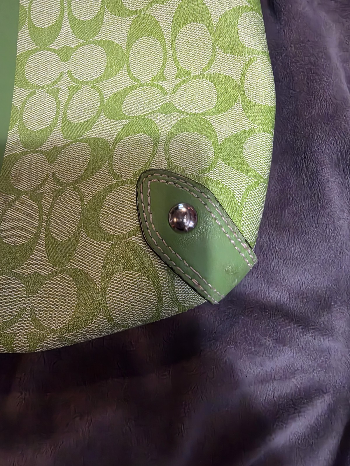 Vintage Coach Heritage Stripe hobo bag in a lime green & white signature canvas