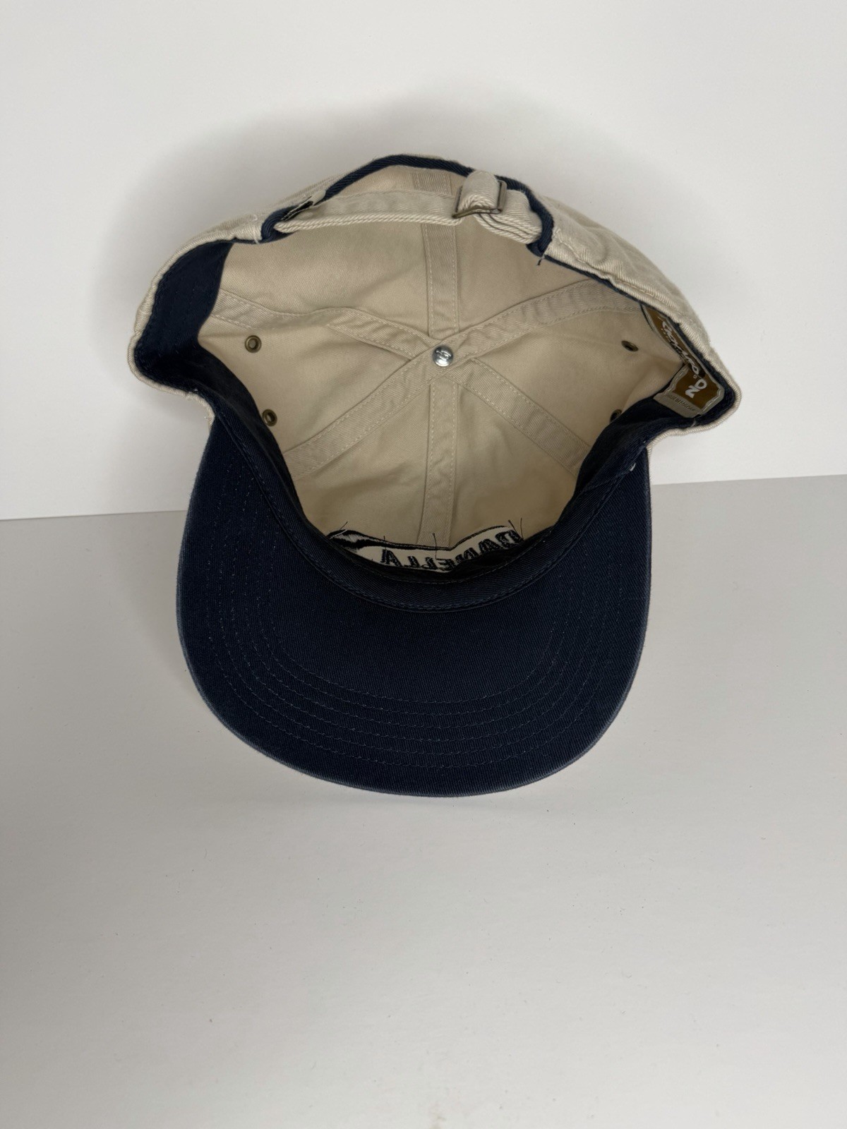Danella Rental Systems Inc. Hat Embroidered Strapback