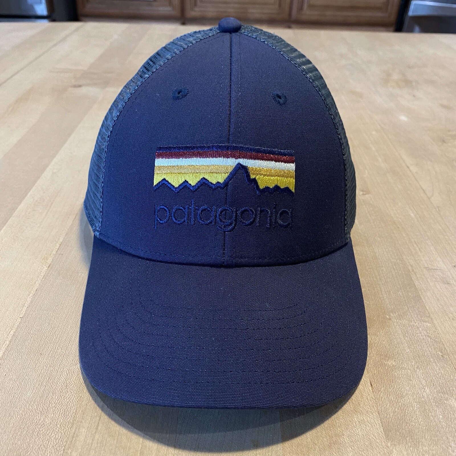 Patagonia Line Logo Lopro Trucker Hat – Mint – Smolder Blue – Fall 2015
