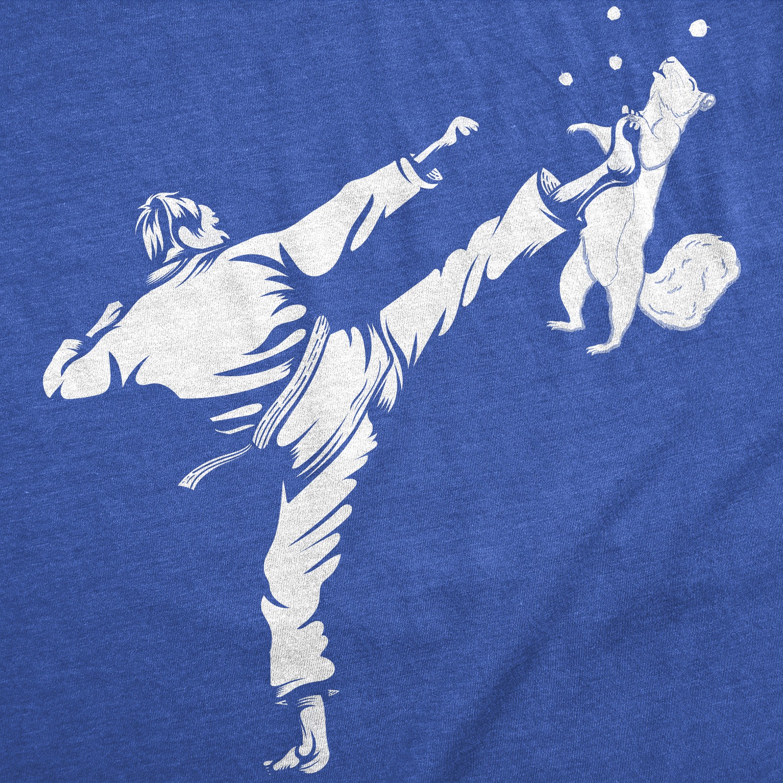 Mens Funny T Shirts Karate Kicked Squirrel Sarcastic Fighting Graphic Tee