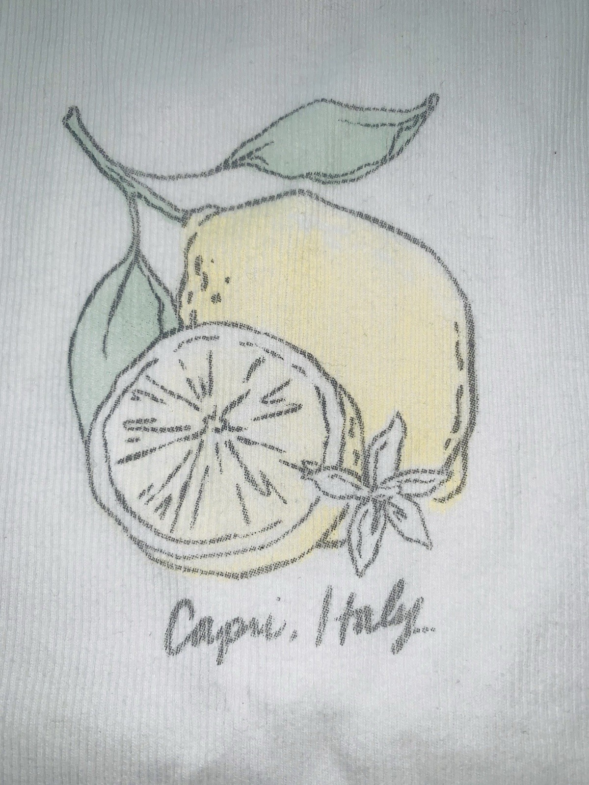 Hollister White Ribbed Knit Cropped Tank Lemon Graphic Capri Italy Size L