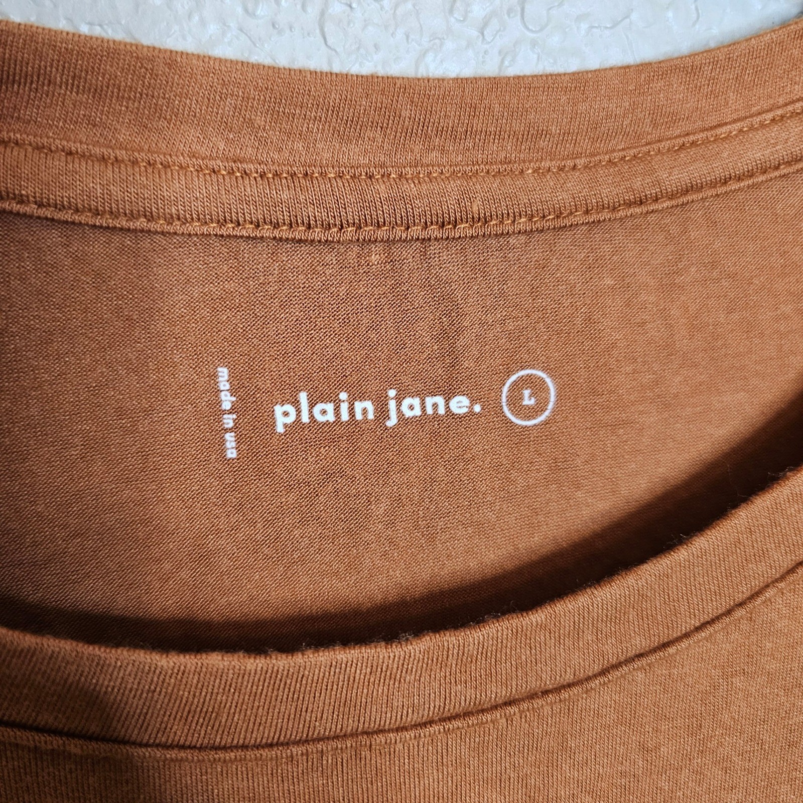 Plain Jane Women Large Basic Crew Neck Short Sleeve T Shirt Rust