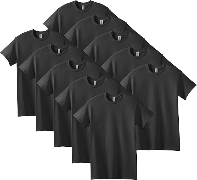 Gildan Mix Color (Pack of 12) Adult Slightly Imperfect T-Shirt