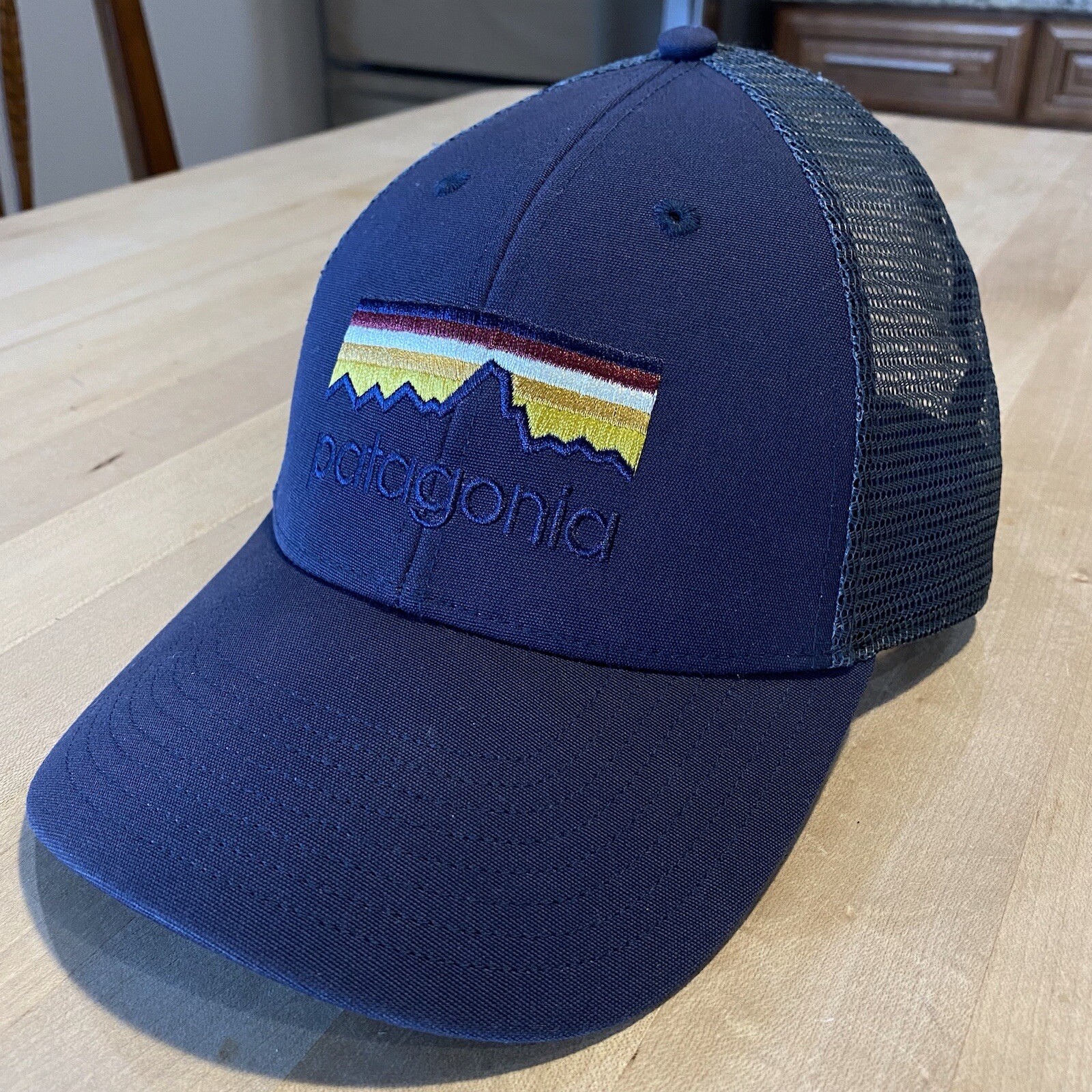 Patagonia Line Logo Lopro Trucker Hat – Mint – Smolder Blue – Fall 2015