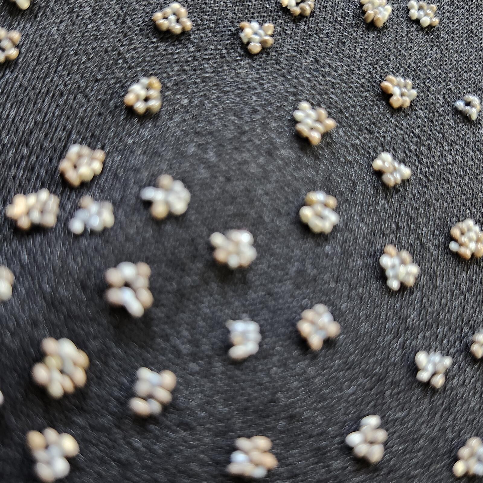 Jeffery and Dara Beaded Sheath Dress