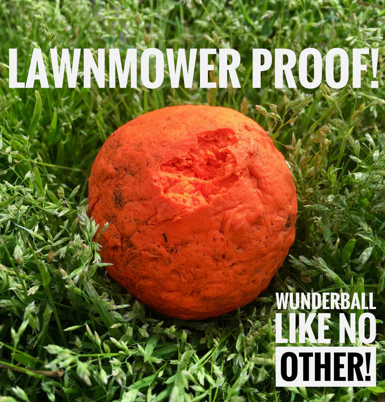 WUNDERball – Best Fetch Toy
