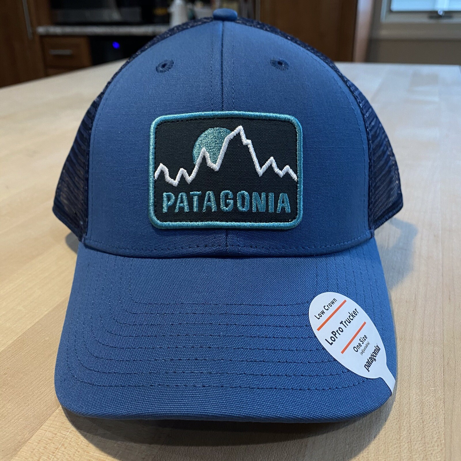 Patagonia Firstlighters Badge Lopro Trucker Hat – New With Tags – Glass Blue