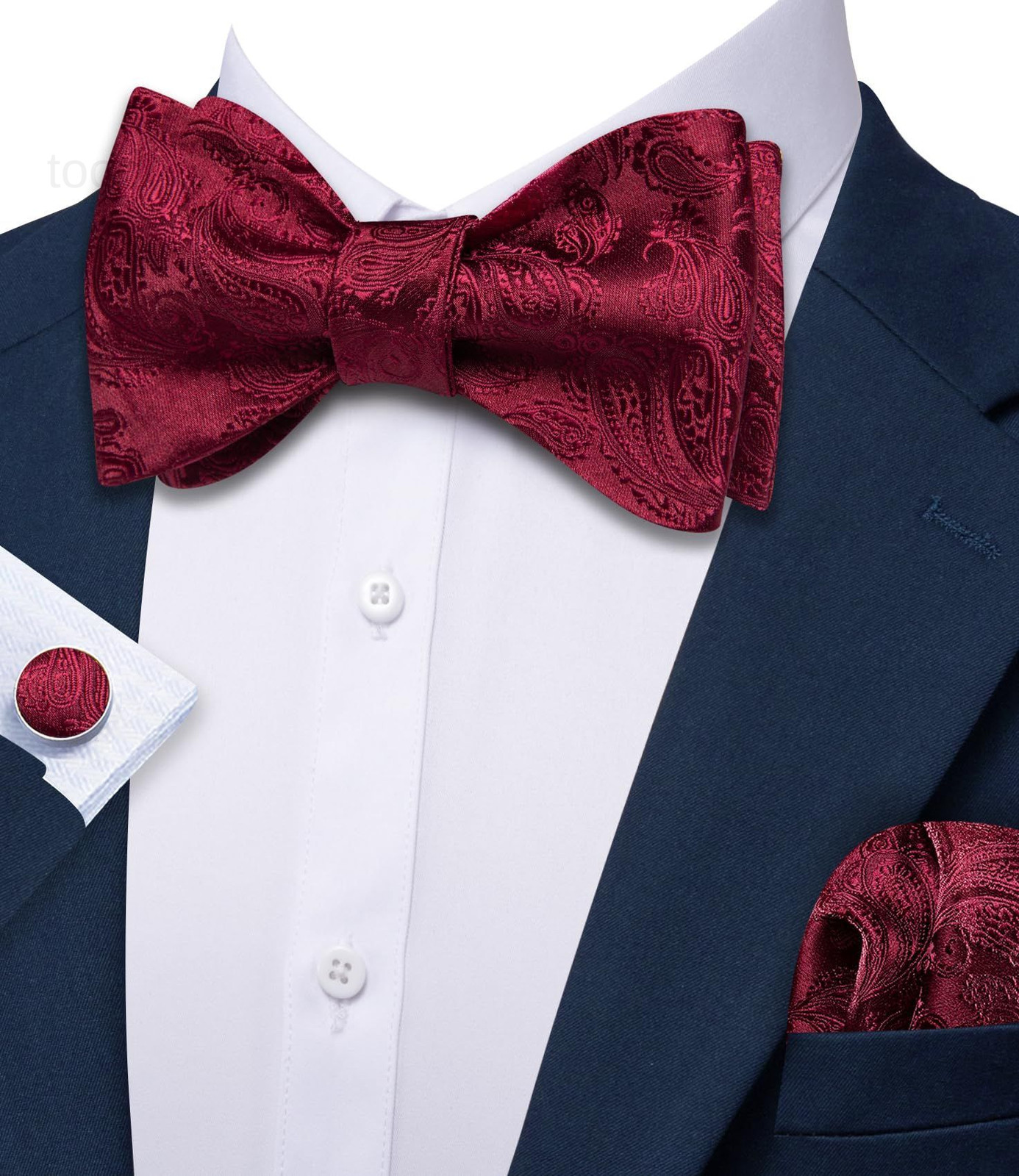 Bow Ties for Men Paisley Self Tie Bowtie One Size, Burgundy Wine
