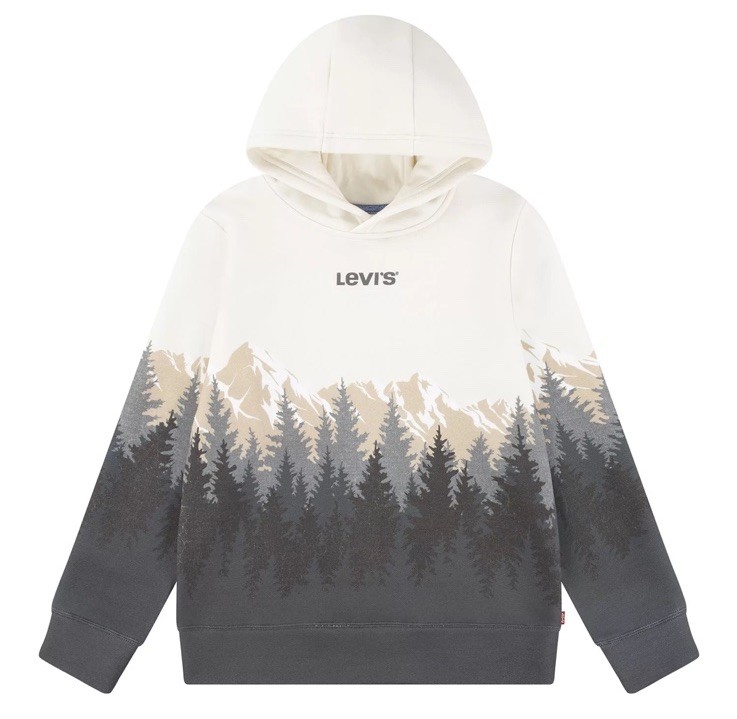 Levi’s Boy’s Hoodie Easy Fit Soft Fleece Size XS (4-5) Dark Shadow Pine Trees