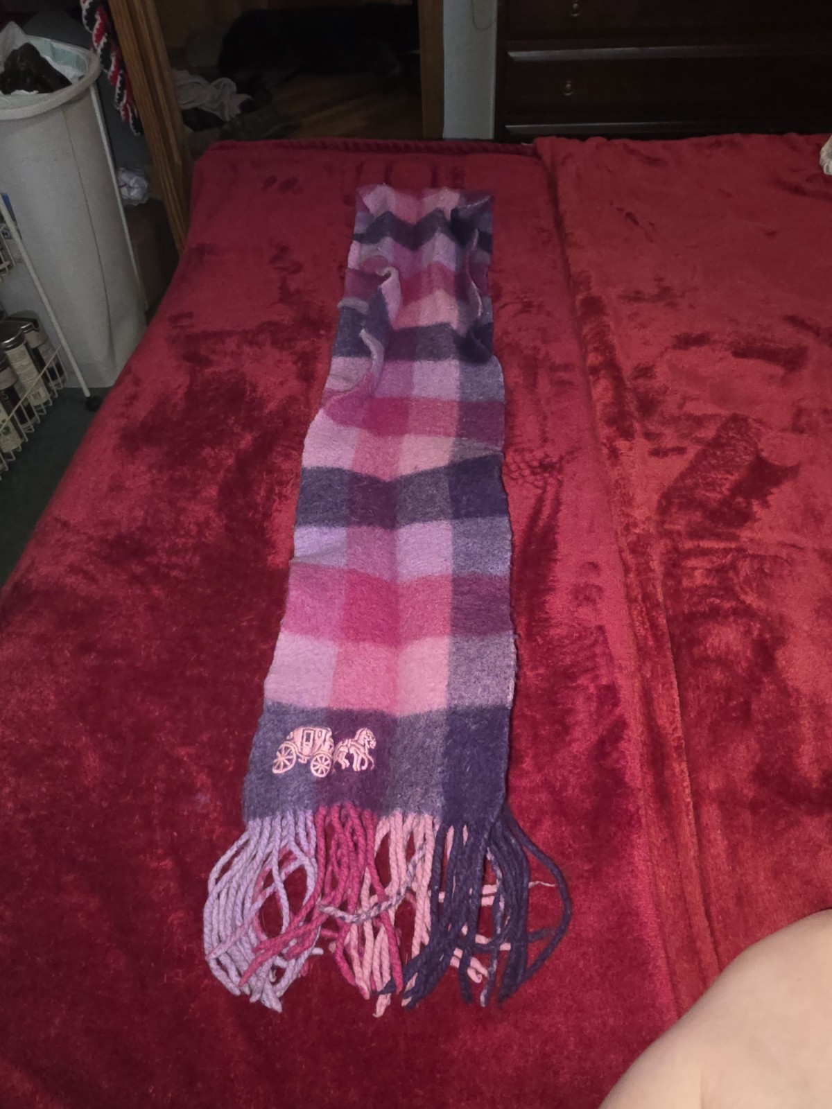 Women’s Coach Acrylic Knit Wool scarf