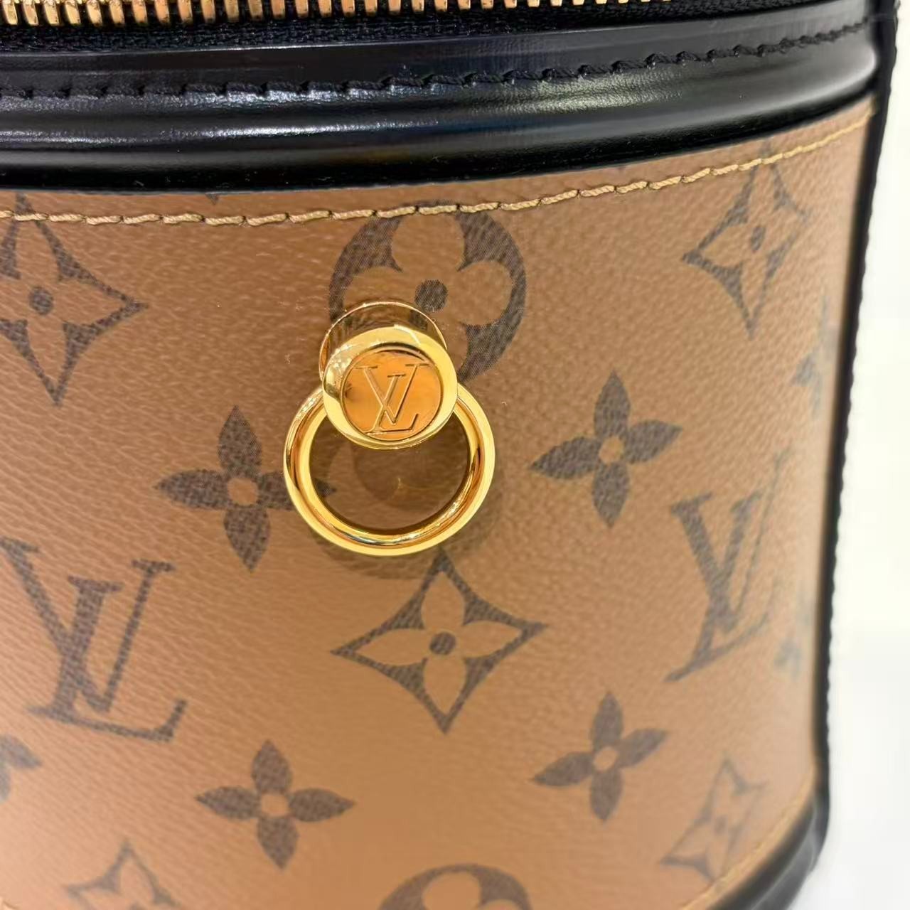 Louis Vuitton Cannes Monogram Reverse Canvas Handbag Bucket Bag Brown