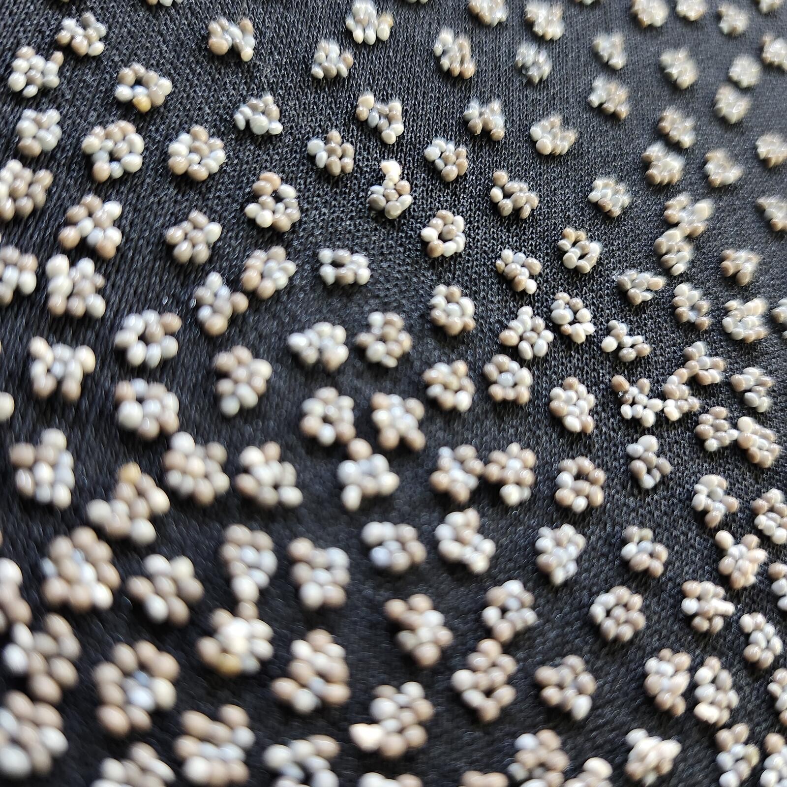 Jeffery and Dara Beaded Sheath Dress
