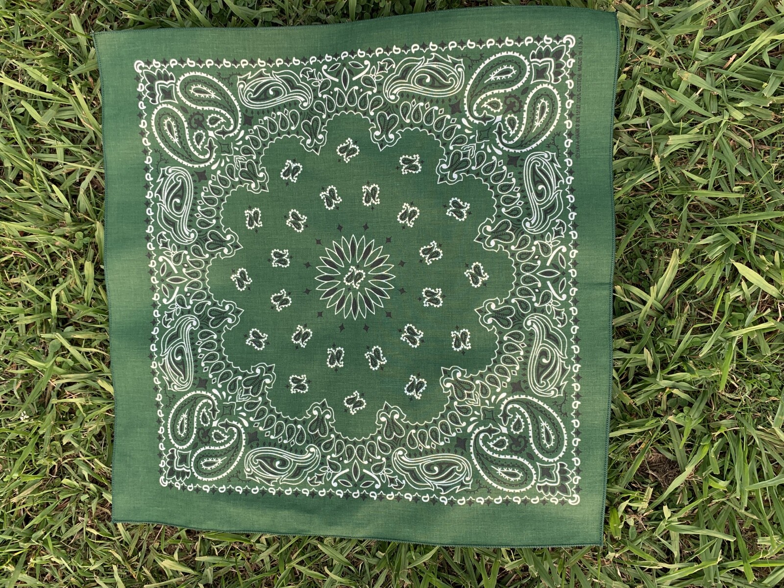 Hunter Green Paisley 22×22 Bandanna, Made in USA, great for crafts customes