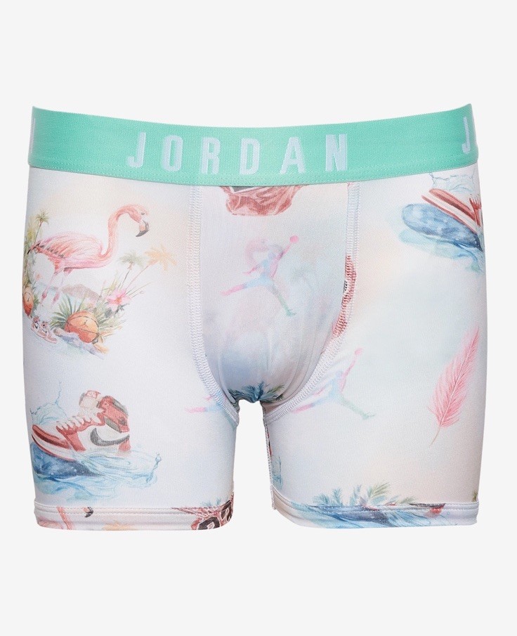 NWT. Jordan. 2 Pack. Flight Microfiber Boxer Briefs. Multicolor. MRSP. $38.00