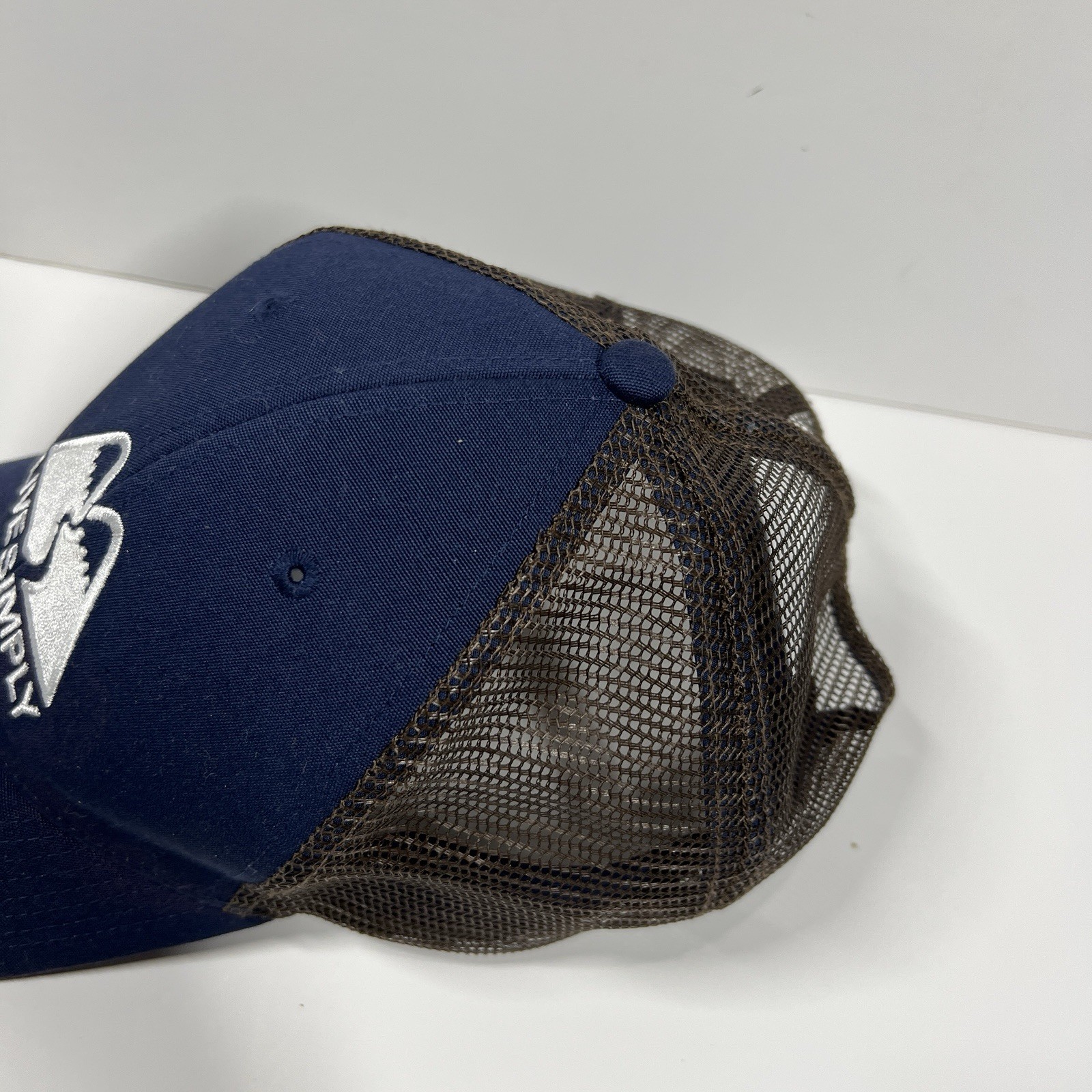 Patagonia Hat Mens Blue Live Simply Winding Lopro Trucker Cap Snap Back Hiking