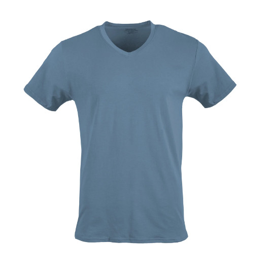 Gildan Adult Men’s Short Sleeve V-Neck Assorted Color T-Shirt, 5-Pack, Sizes S-2