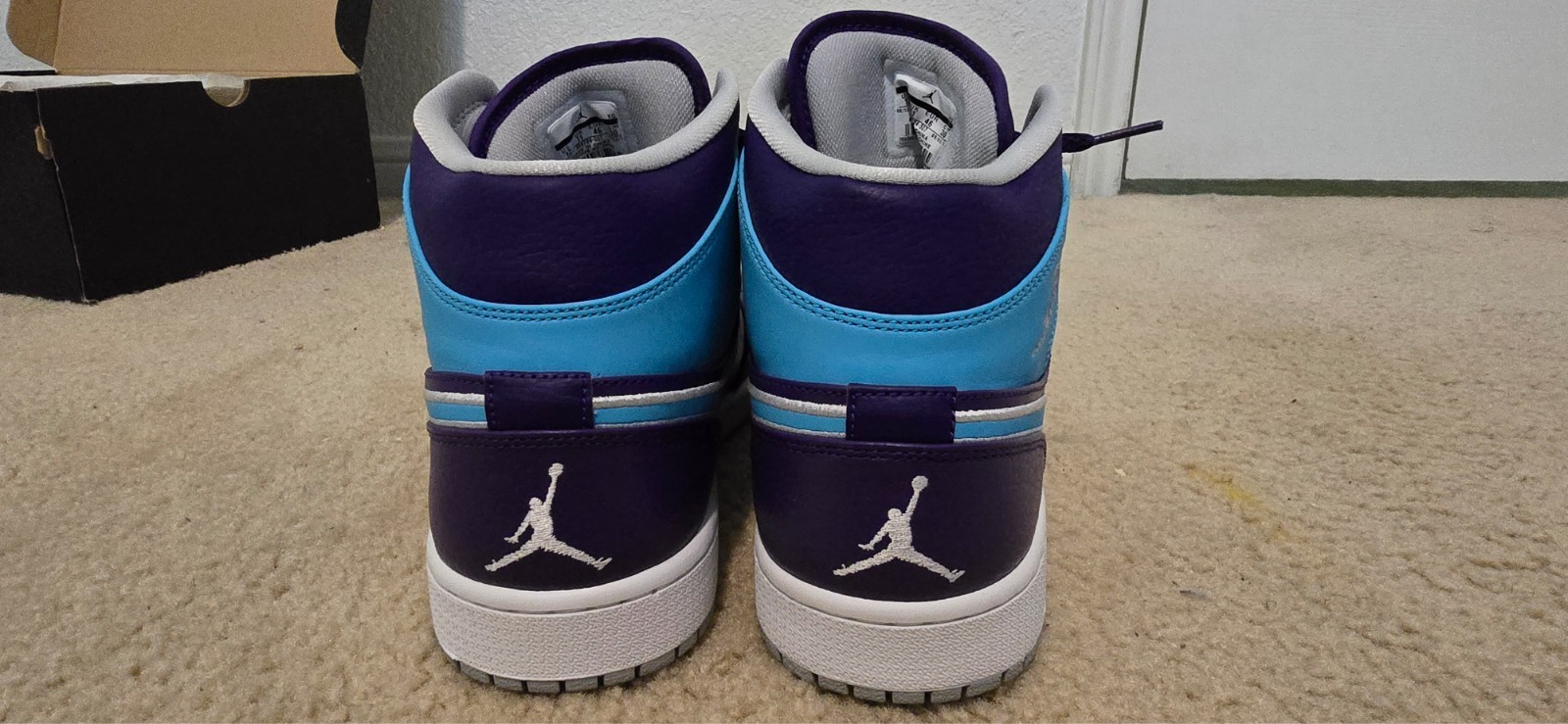Size 12 – Air Jordan 1 Mid Hornet