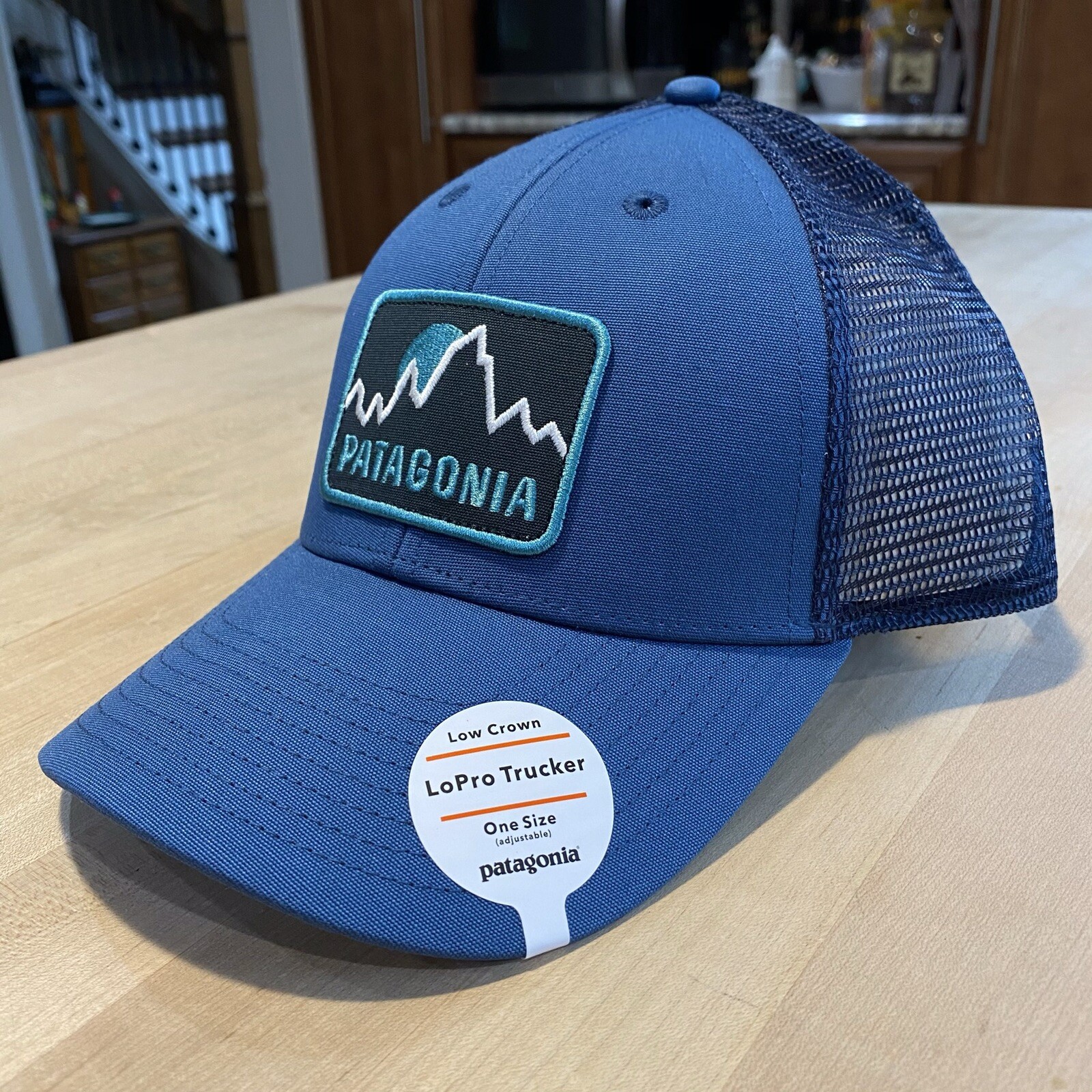 Patagonia Firstlighters Badge Lopro Trucker Hat – New With Tags – Glass Blue