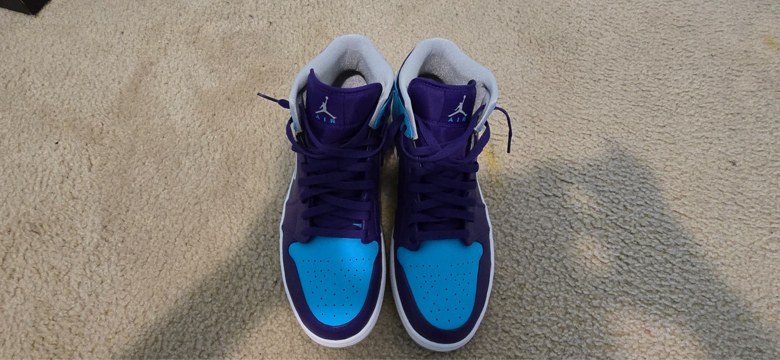 Size 12 – Air Jordan 1 Mid Hornet