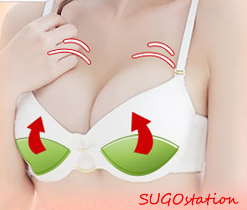 JUMBO SIZE Silicone Enhancer Insert Pads Bikini Bra Breast Push Up Washable ND