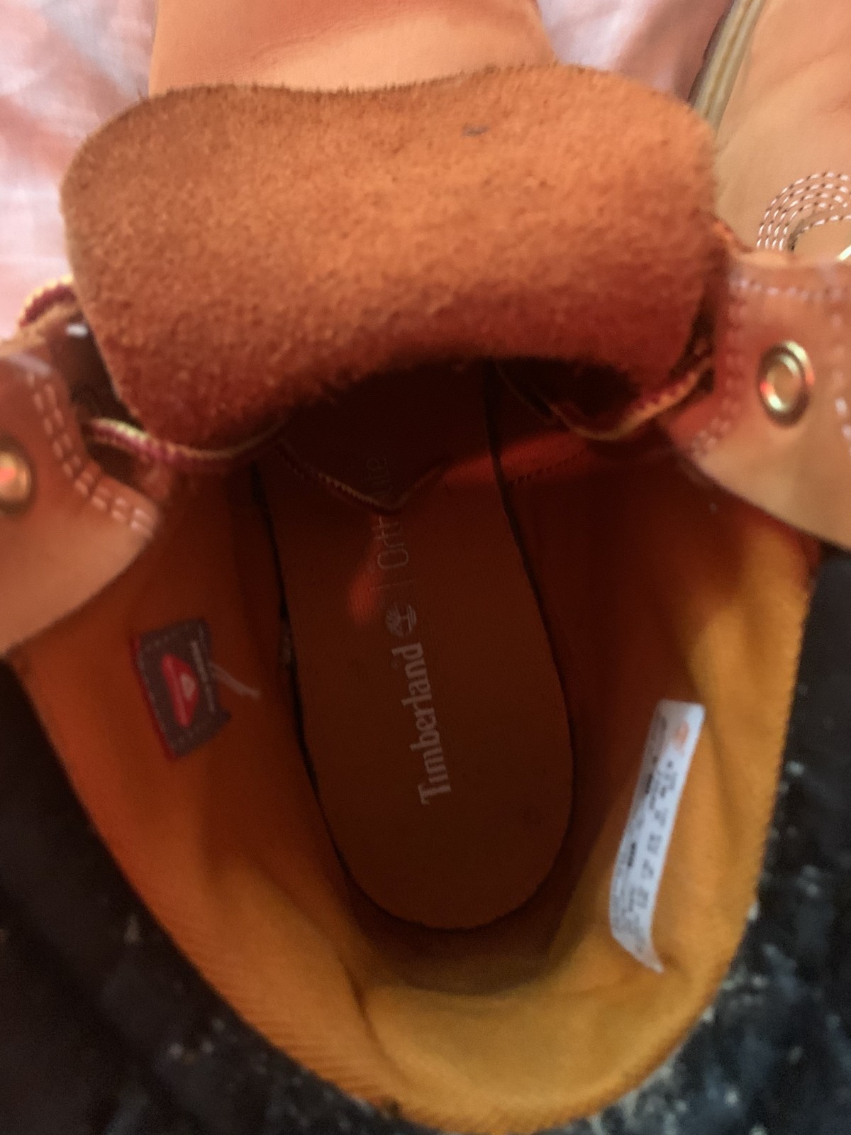 Timberland 6-Inch Basic Waterproof Boot Size 11 US