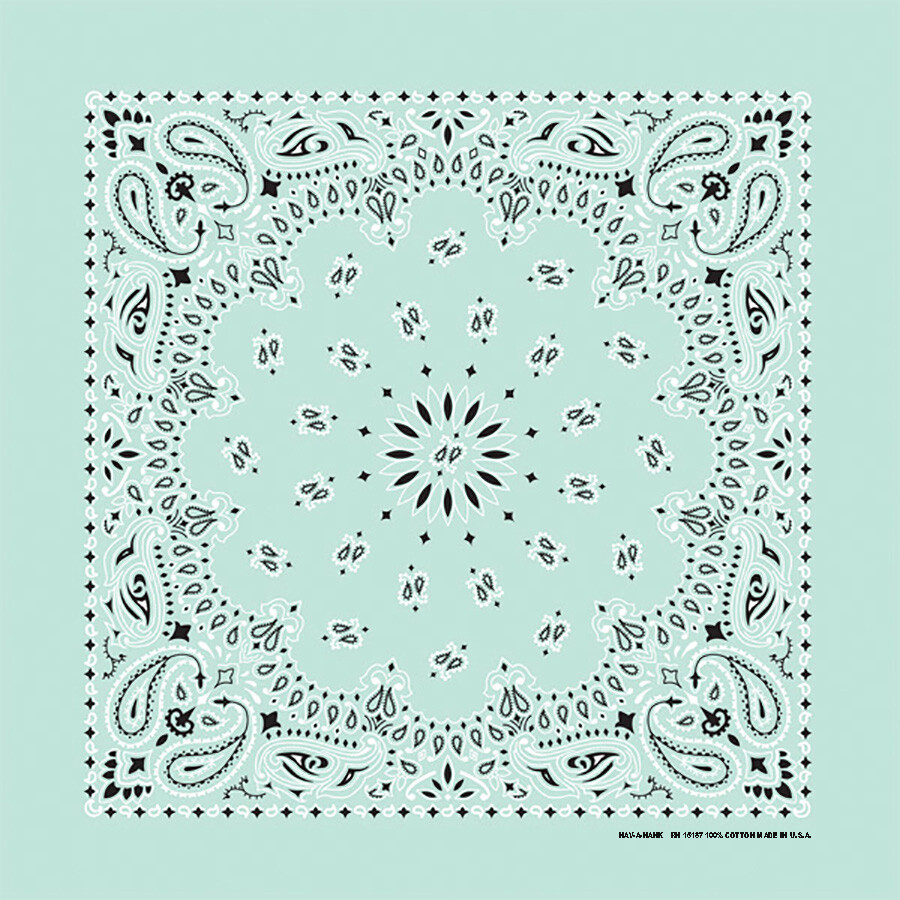 Carolina Creative Bandanna (Mint Green) Paisley Print 22″ x 22″ Hav-A-Hank