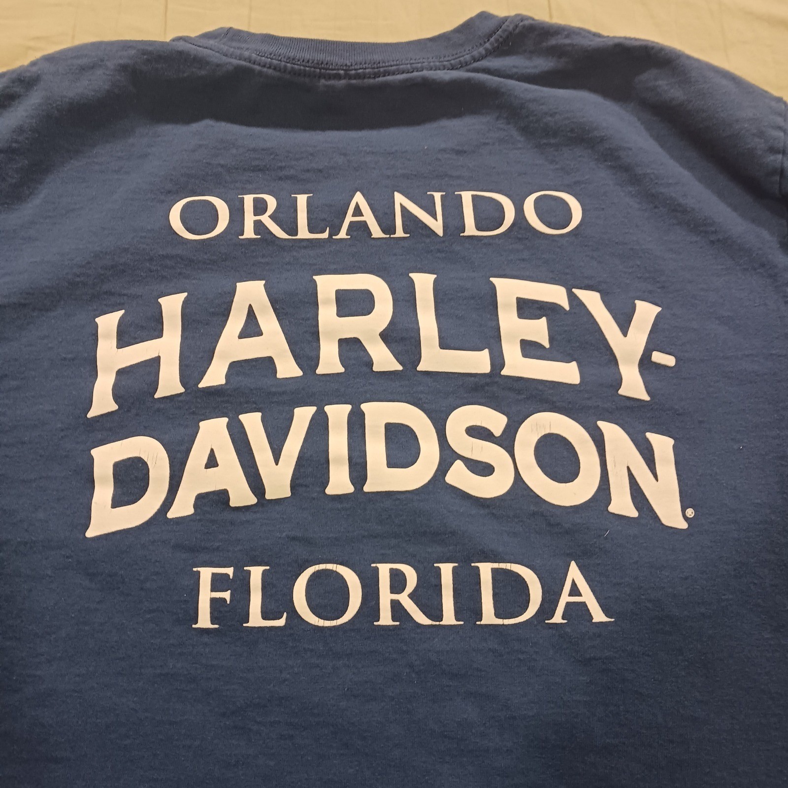 Harley Davidson Orlando Florida T-Shirt Mens XL Blue Eagle Biker Graphic Tee Y2K