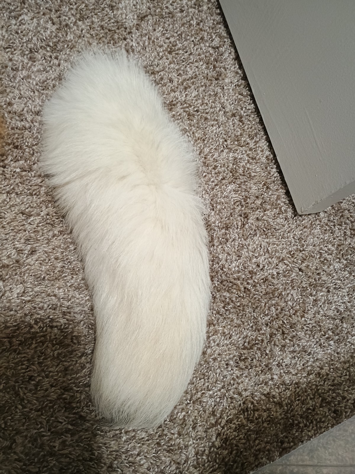 16″-18″ Cream Colored Fox Fur Tail Keychain Bag Charm Furry Costume Cosplay