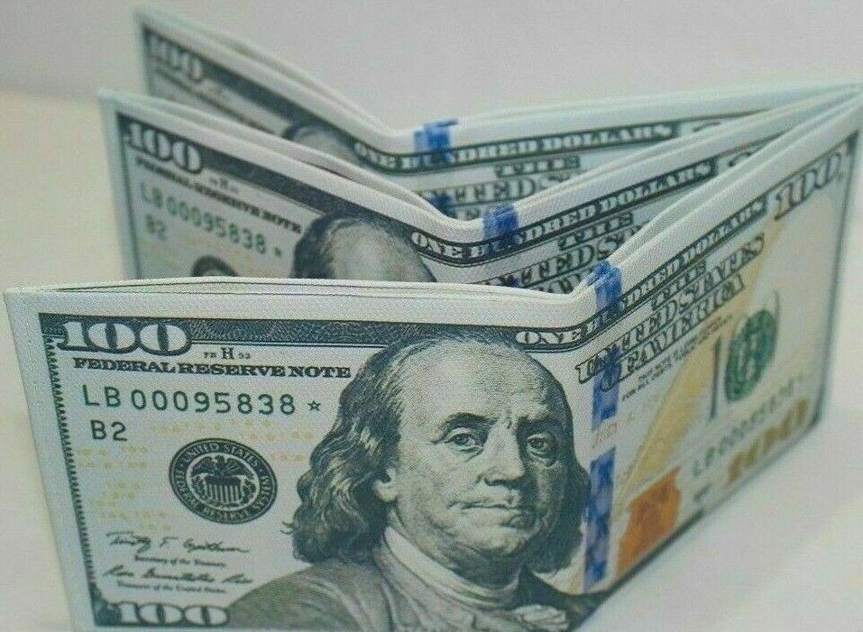 $100 Hundred Dollar Bill Wallet Money Thin Bi-Fold Card Holder – US SELLER